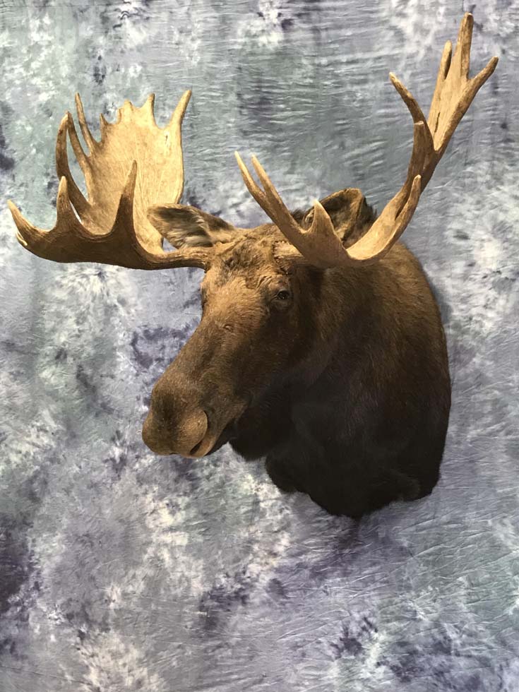 15-2021