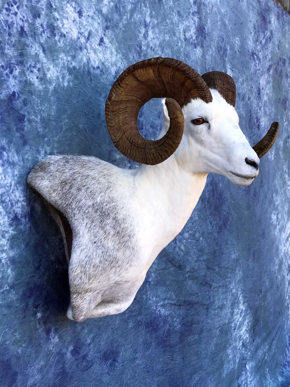 00901
