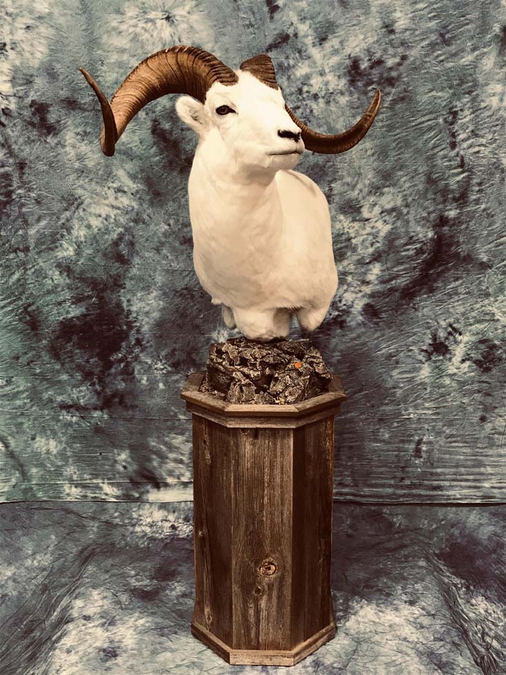 10-2021
