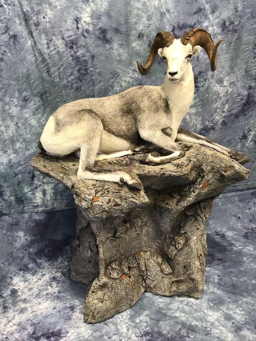 ram2-nov21