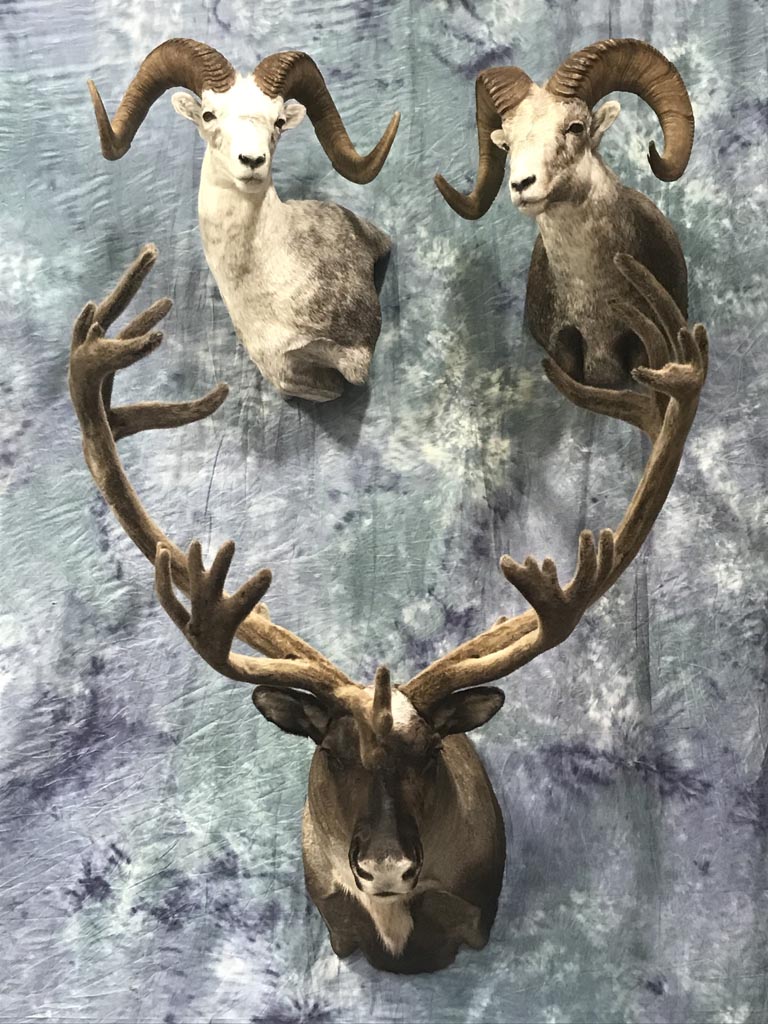trio