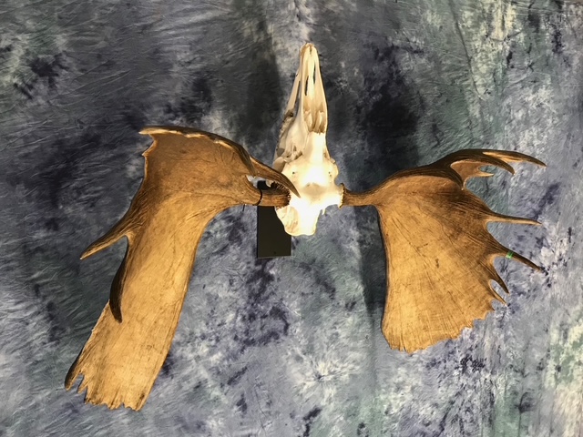 image6