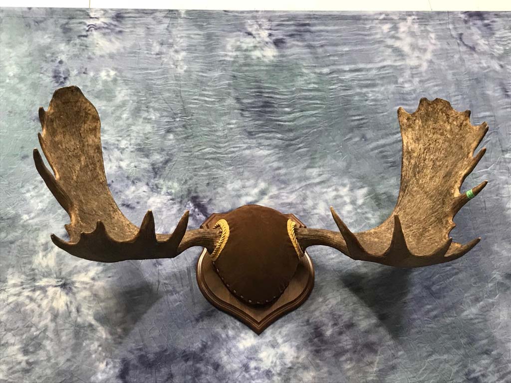 mounts05
