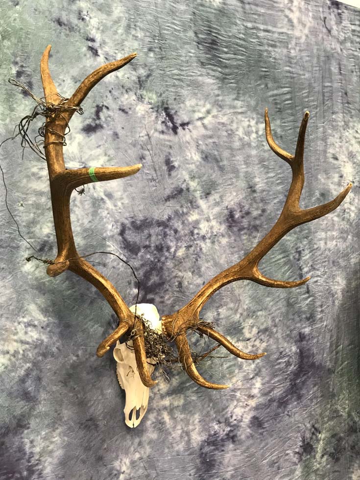mounts08