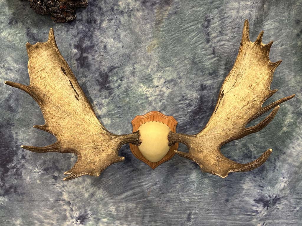 panel mount02
